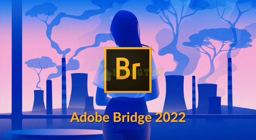 Tải Bridge 2022