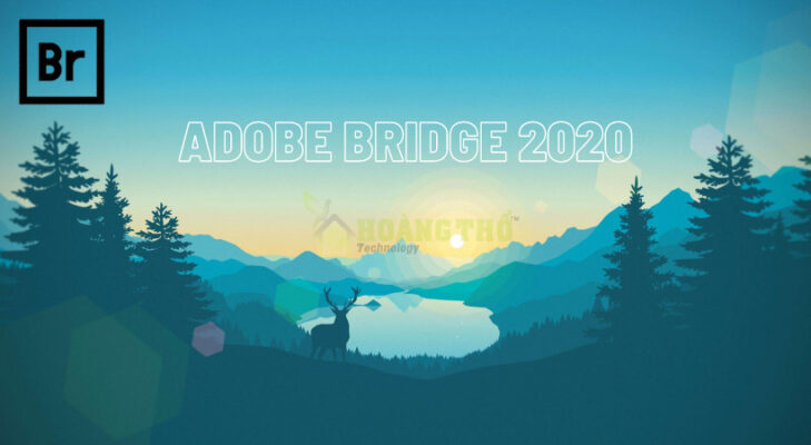 Tải Bridge 2020