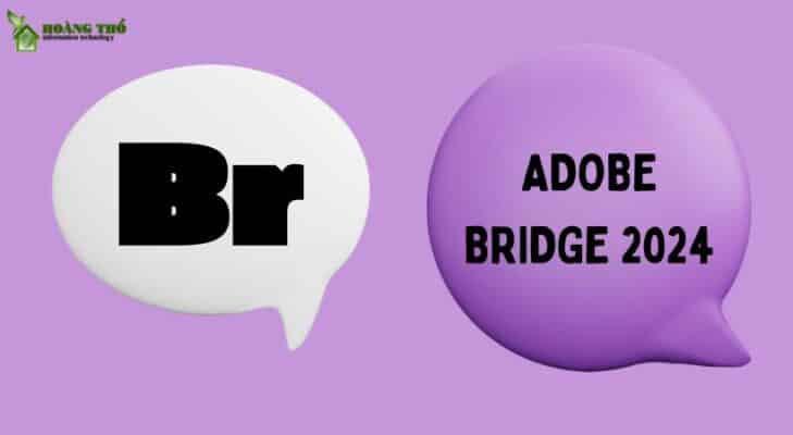 Adobe bridge 2024